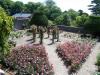 The Tudor Rose Garden 1